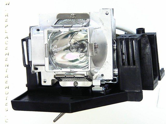 Lampe générique BL-FP260A pour projecteur Optoma