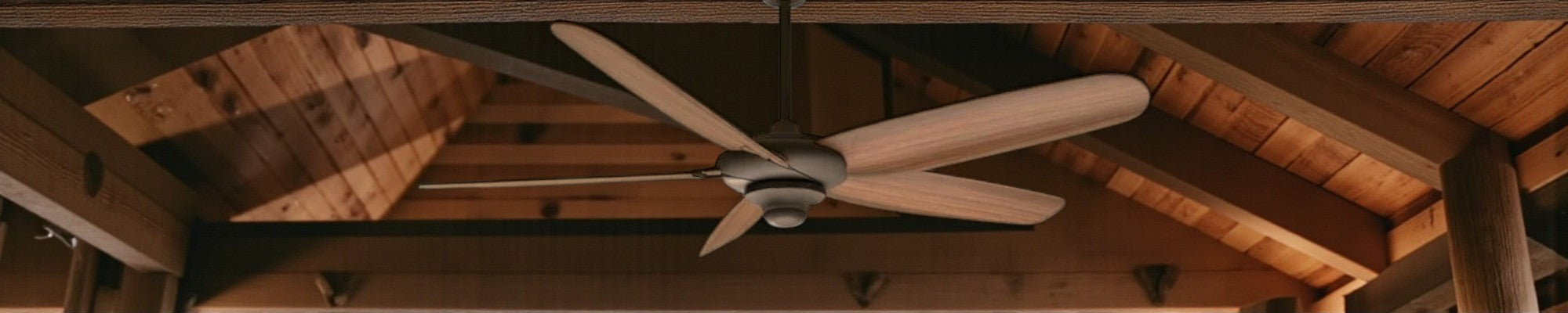 Fan & Lighting