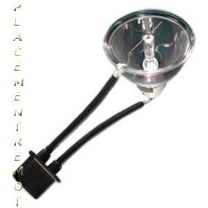 Lámpara para equipos especiales Ushio 5001466
